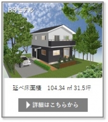 モデル3.jpg