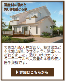 ki%20gaikan6.jpg
